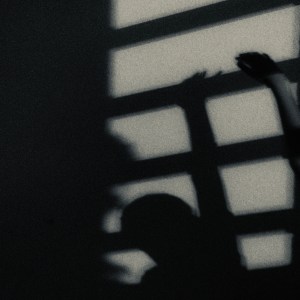 Shadow of person on red wall